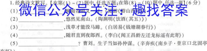 天一大联考 2022-2023学年高中毕业班阶段性测试(六)语文