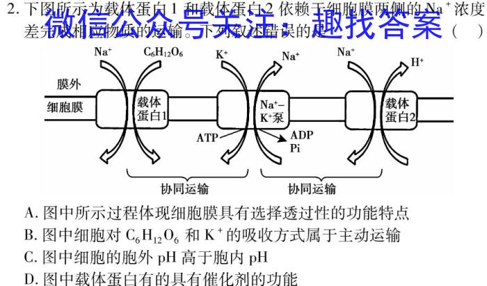 2023年普通高等学校招生全国统一考试猜题信息卷(新高考)(三)生物试卷答案