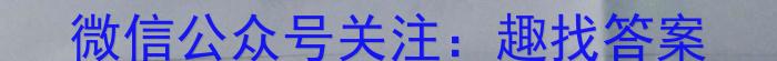 陕西省2023年九年级中考模拟卷4月联考化学