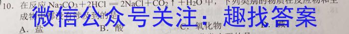 2023年云南大联考4月高一期中考试（23-412A）化学