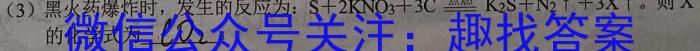 山西省2023年中考总复习预测模拟卷（七）化学