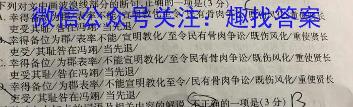 2023年普通高等学校招生统一考试 新S3·临门押题卷(二)语文