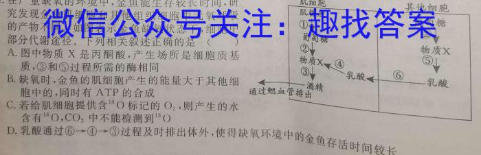 天一大联考·安徽卓越县中联盟 2022-2023学年高三年级第二次联考生物