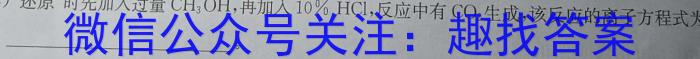 2023甘肃定西二诊高三4月联考化学