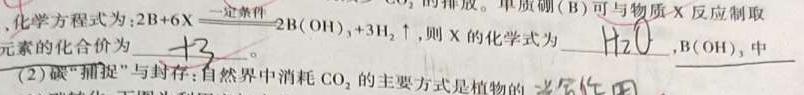 江西省2025届七年级第六次阶段适应性评估【R-PGZX A JX】化学