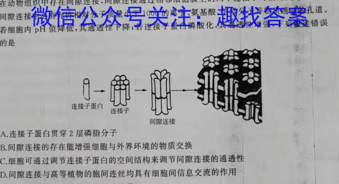 2023年普通高等学校招生全国统一考试 高考模拟试卷(六)生物