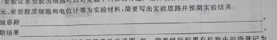山西省高一年级2022-2023学年第二学期期中考试（23501A）生物