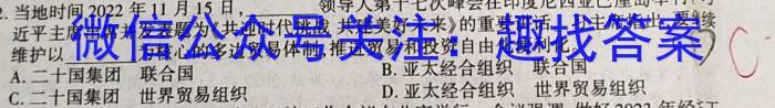 山西省高一年级2022-2023学年第二学期期中考试（23501A）地理.