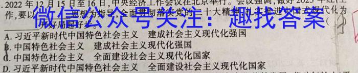 安徽省2023届九年级下学期教学评价二（期中）s地理