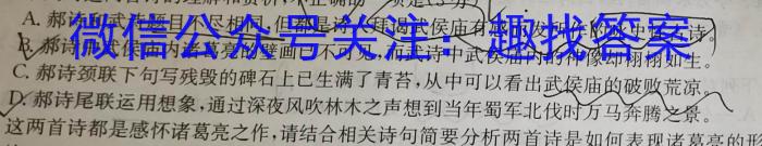 安徽省2023年肥西县九年级第二次质量调研语文
