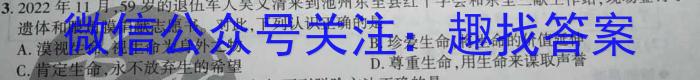 江西省吉安市十校联盟2024-2023学年九年级第二学期期中联考q地理