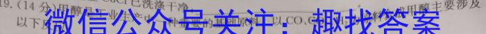 2024-2023学年安徽省七年级下学期阶段性质量检测（七）化学