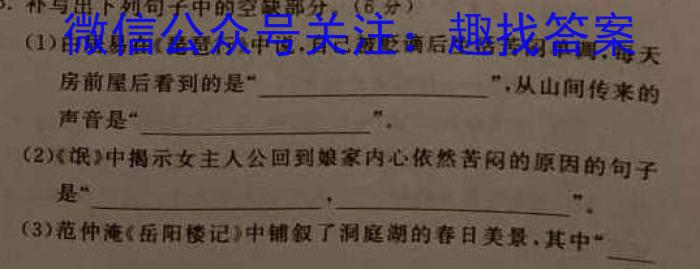 广西2023年4月高中毕业班第三次联合调研考试语文