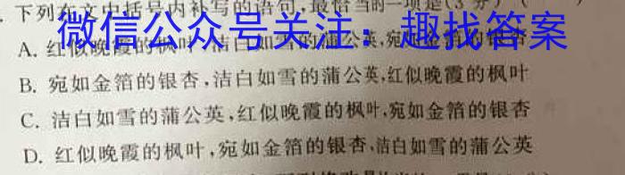 群力考卷·压轴卷·2023届高三第一次语文