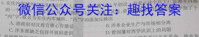 金科大联考2023年高三年级4月联考（4.28）&政治