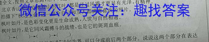 2023年普通高等学校招生全国统一考试 高考仿真冲刺押题卷(二)语文