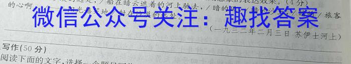 2023年陕西省初中学业水平考试冲刺（一）语文