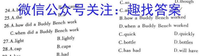 2024-2023学年河南省高二期中考试(23-389B)英语
