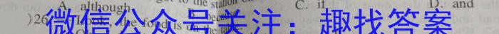 2023年云南大联考4月高一期中考试（23-412A）英语试题