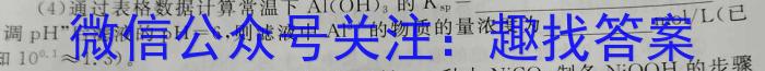 皖智教育 安徽第一卷·省城名校2023年中考最后三模(一)化学