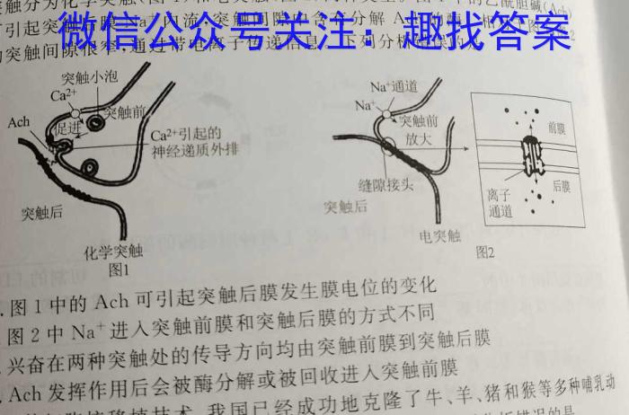 2025届广东大联考高一4月联考（23-388A）生物