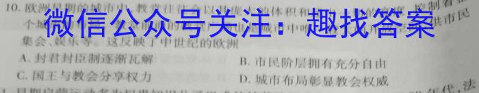 2023年陕西大联考高一年级下学期期中联考历史