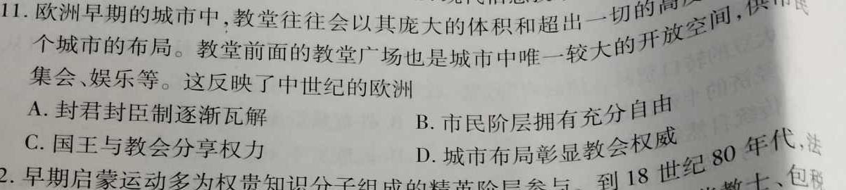 河南省2023年新野县九年级第一次模拟考试（23-CZ123c）历史
