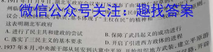 安徽省合肥市庐江县2023届初中毕业班第二次教学质量抽测历史