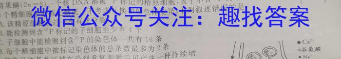 2023年陕西省初中学业水平考试模拟卷（A版）生物