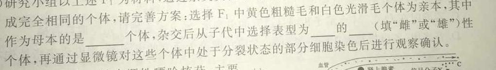 2023年黑龙江大联考高三年级4月联考生物