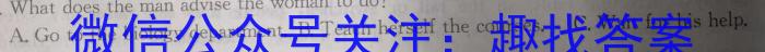 安徽省2023届九年级下学期教学质量检测（六）英语