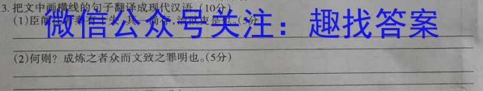 炎德英才大联考2023届湖南新高考教学教研联盟高三第二次联考语文