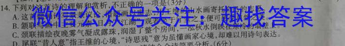 2023年商洛市第三次高考模拟检测试卷(23-432C)语文