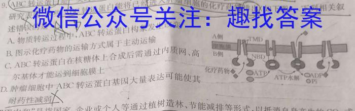 陕西省2023届临潼区、阎良区高三年级模拟考试（4月）生物