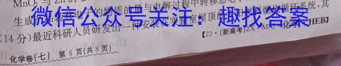 陕西省2023届九年级模拟检测卷(23-CZ135c)化学