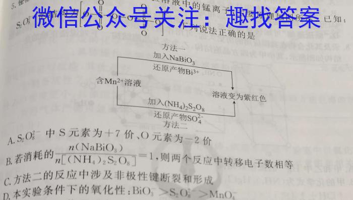 九师联盟2024~2023学年高三押题信息卷(老高考)(二)化学