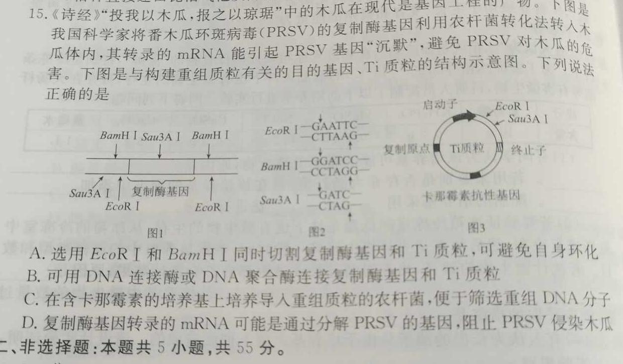 京师AI联考2023届高三质量联合测评全国乙卷(二)生物