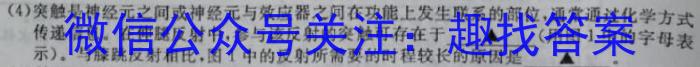 2023年重庆大联考高二年级4月期中考试（23-417B）生物试卷答案