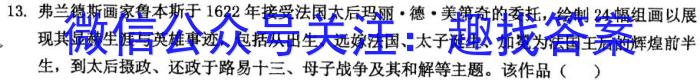 2023衡水金卷先享题压轴卷答案 新高考一历史