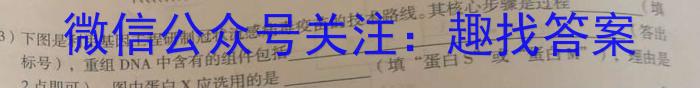 江西省2023年最新中考模拟训练 JX(六)生物试卷答案