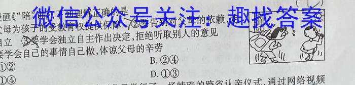 江西省乐平市2024-2023学年度九年级下学期期中学业评价q地理