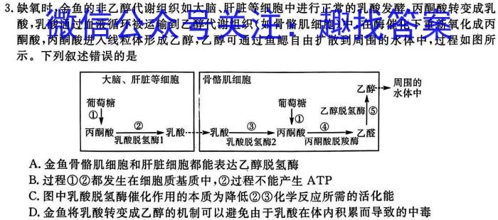 2023届三重教育4月高三大联考(新高考卷)生物