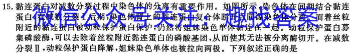 安徽省2022-2023学年九年级第二次模拟考试生物试卷答案