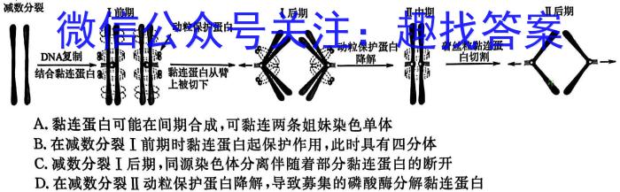 2022-023下学年非凡吉创高三TOP二十名校四月冲刺卷2生物