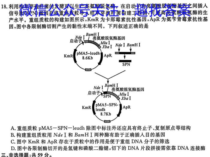 2023高考冲刺试卷 新高考(四)生物试卷答案