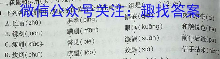 河南省漯河市临颍县2022-2023学年度第二学期期中考试七年级语文