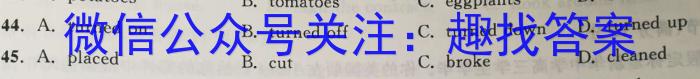 安徽省2024届八年级下学期教学质量监测（六）英语