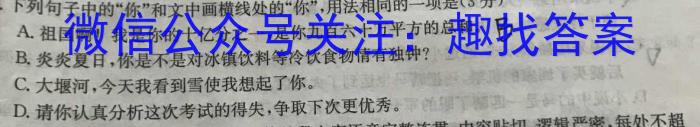 山西省2023届九年级山西中考模拟百校联考试卷（二）语文