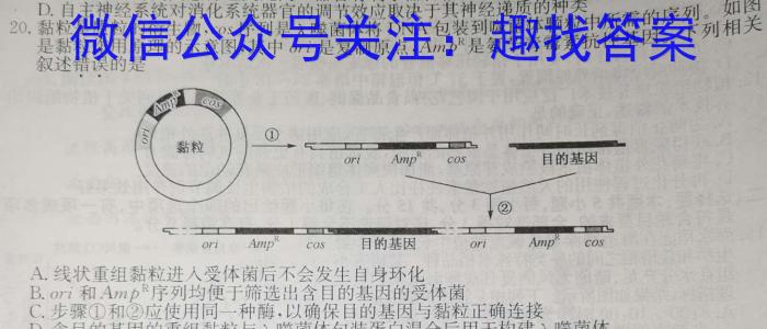 安徽省2022~2023学年度八年级下学期期中综合评估 6L R-AH生物试卷答案