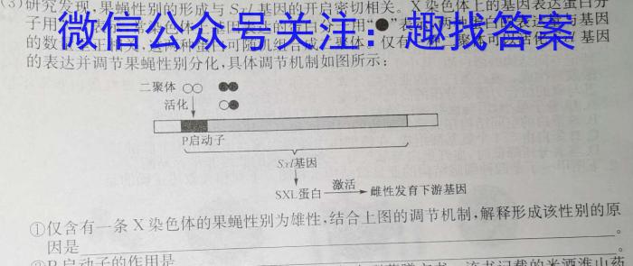 2023年4月玉林市高三年级教学质量检测生物